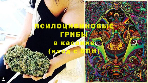 прущая мука Верея