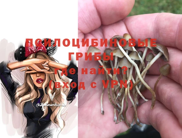 марки nbome Верхний Тагил