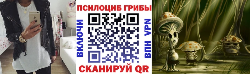 Галлюциногенные грибы прущие грибы  Купить закладки  Узловая 